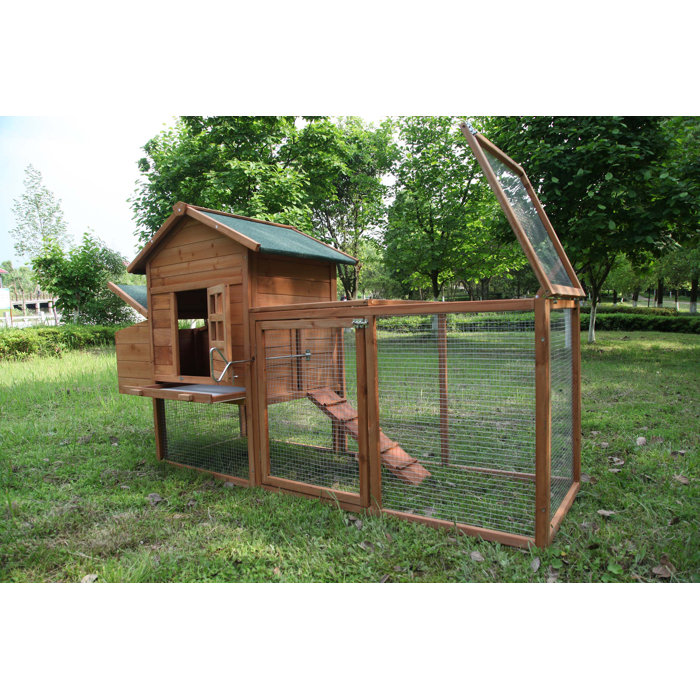 Tucker Murphy Pet™ Zebediah Chicken Coop with Chicken Run & Reviews